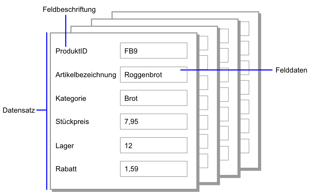 Beispiele für Datensätze, Felddaten und Feldbeschriftungen