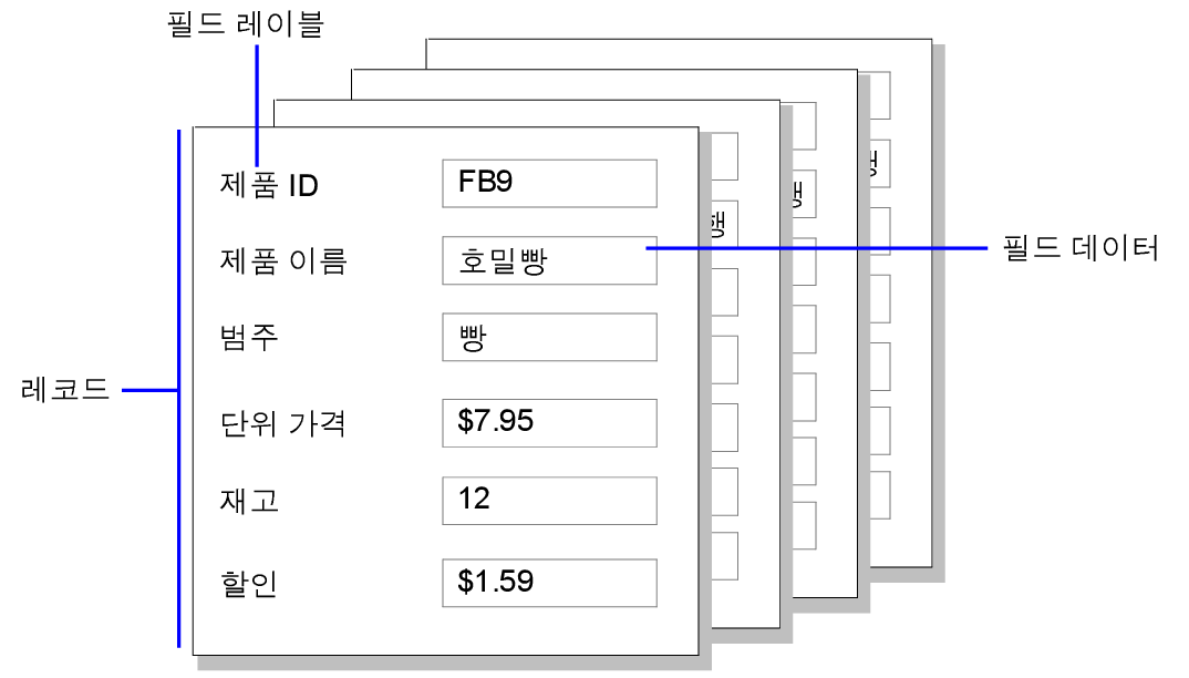 레코드, 필드 데이터와 필드 레이블의 예