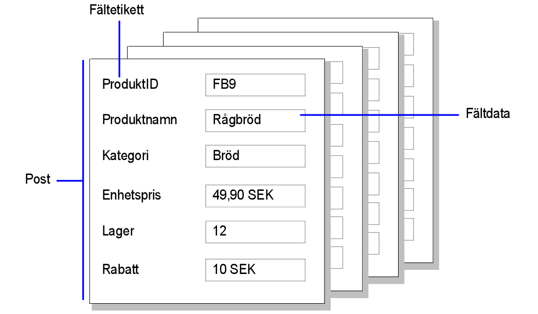 Exempel på poster, fältdata och fältetiketter