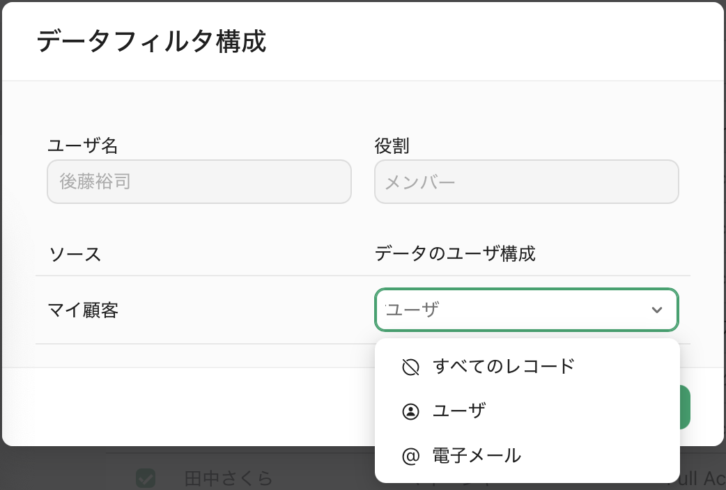 データフィルタ構成、[データのユーザ構成] オプション