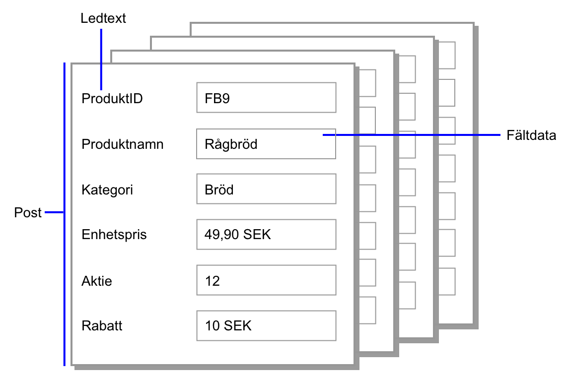 Exempel på poster, fältdata och fältetiketter